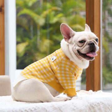 New Pet Clothing Product