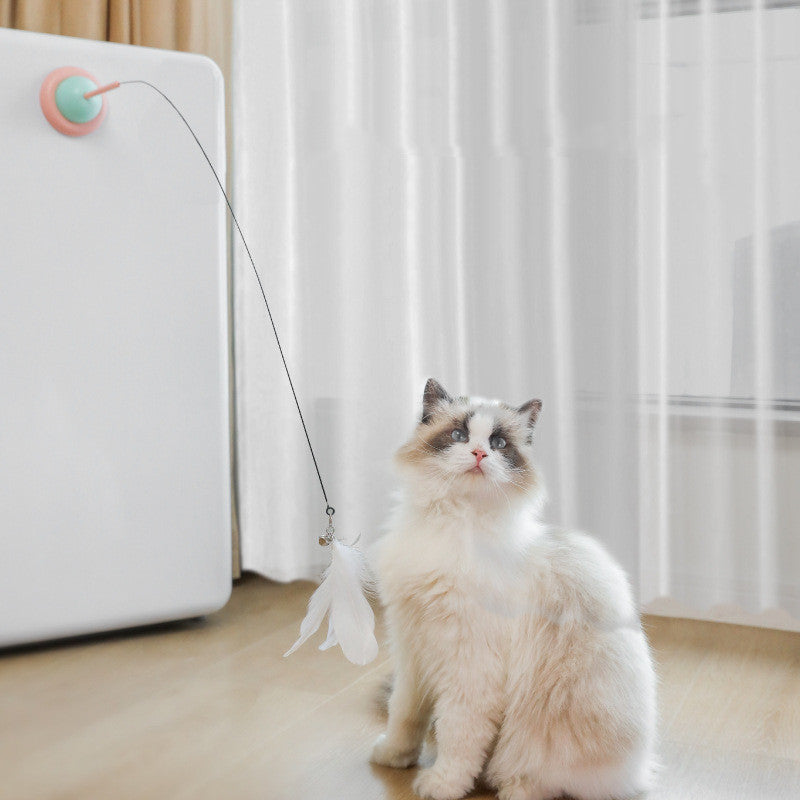 Household Fixed Pet Products